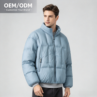 Veste d'hiver pour homme, coupe ample, col montant, duvet de canard blanc, imperméable, chaude