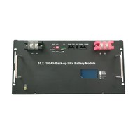 Baterai Rak Server LiFePO4 ESS 51.2V 100Ah 200Ah 300Ah dengan CAN/RS485 untuk Penyimpanan Energi Surya Rumah Tangga