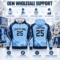 Sweat à capuche d'hiver personnalisé pour équipe, bleu glace, avec logo brodé, nom et numéro, chaud, pour entraînement de basketball, fabricant OEM, vente en gros