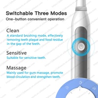 Brosse à dents électrique sonique personnalisée avec batterie de base, étanche IPX7, idéale comme rechange pour les invités ou pour les voyages d'urgence