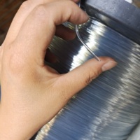 Accessoires pour serres agricoles support à raisin polyester monofilament fil plastique anti-âge