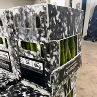 Boîte à asperges empilable, pliable, recyclable, écologique, en PP Coroplast, étanche, pour déménagement, stockage et promotion