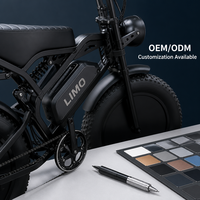 Vélo électrique tout-terrain robuste pour adultes avec pneus larges et batterie amovible, idéal pour la conduite hors route, OEM ODM disponible