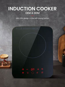 Meilleur poêle <span class=keywords><strong>à</strong></span> kérosène <span class=keywords><strong>à</strong></span> brûleur unique de conception ultra mince 85-280V pour la cuisine - Product Image 3