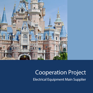 Panneau de distribution électrique triphasé 24 voies Panneau de distribution final Panneau de distribution électrique Tableau électrique - Product Image 5