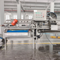 Volledig automatische fruit- en groente productielijn voor voedselverwerking, inclusief automatische reiniging en snijproces.