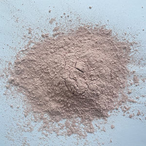 工場供給 天然食品グレード トマトジュースパウダー トマトエキス粉末 10%リコピン - Product Image 5