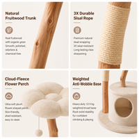 Arbre à chat en bois naturel avec plateformes nuage, branches en sisal et condo rond pour animaux de compagnie - Vente en gros