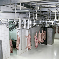 Ligne complète d'abattage de porcs EME, solution tout-en-un, équipement de transformation de la viande de porc pour abattoir, vente chaude