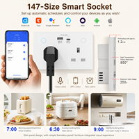 Prise murale intelligente Wi-Fi double avec chargeur USB Type C, format UK 147, pour toute la maison, personnalisable