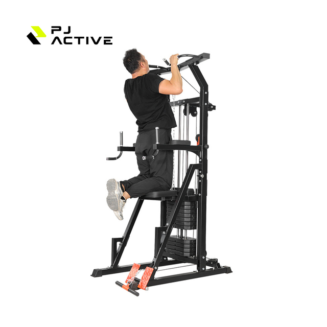 PJ Home Assisted Pull-Up Equipment Fitness Device Home Auxiliary Lumbar Stretching Single Double Bar Multi-Functional Trainer