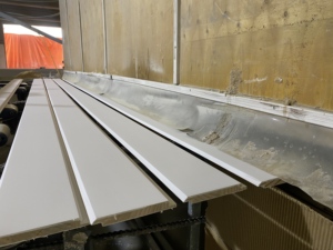 Panneau mural en pin radiata blanc apprêté, nickelé, écologique, résistant à la décomposition, pour projets intérieurs dans les hôtels et les hôpitaux - Product Image 4