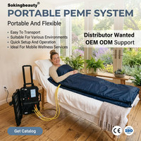 Appareil PEMF magnétique portable, dispositif de thérapie PEMF, système de tapis magnétique pour le bien-être humain et équin.