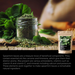 Özel etiket Gastrointestinal konfor takviyesi yetişkinler için 50 mg çam kozalağı özü yağ nane tozu sağlık - Product Image 3