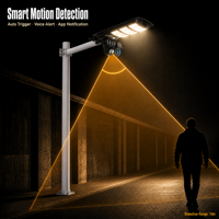 Lampu Jalan Tenaga Surya dengan Kamera CCTV 3MP WiFi 4G IP66 Panel Surya Sensor Gerak PIR Lampu Jalan LED Tenaga Surya