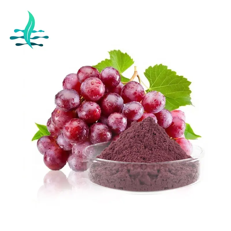 Newest natural High-quality red grape fruit powder/grape fruit powder