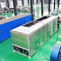 Séchoir automatique Tunel pour larves d'insectes, larves de mouches, déshydrateur automatique