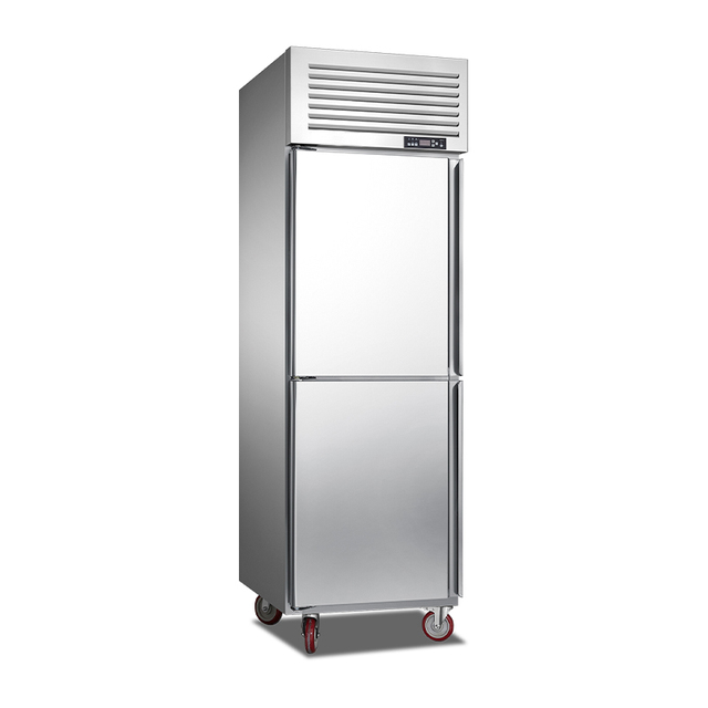 Bindose European Style Industrial Commercial Reach-in Refrigerator Heavy Duty Vertical Refrigerator for Food Storage Business
