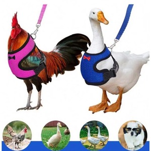 Échantillon Gratuit Harnais et Laisse Réglables pour Poulets et Oies, Petite Taille, Confortables et Respirants, Ensemble Gilet pour Poules - Product Image 3