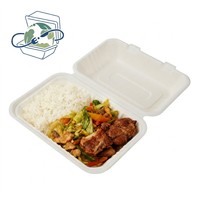 Boîte à emporter écologique en bagasse XS-CH096A, robuste et articulée, pour l'emballage alimentaire à emporter