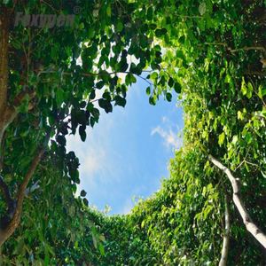 Films de plafond tendu MSD les plus populaires au prix d'usine, designs de plafonds suspendus pour <span class=keywords><strong>cuisine</strong></span> - Product Image 6