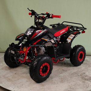 <span class=keywords><strong>Quad</strong></span> 4 roues CE 110cc avec éclairage LED, gros pneus 19"/18", pack usine - Product Image 5