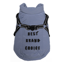 Veste de sport imperméable en polyester pour chien, simple, épaisse, à capuche, nouvelle arrivée, vêtements pour animaux de compagnie tendance, automne-hiver