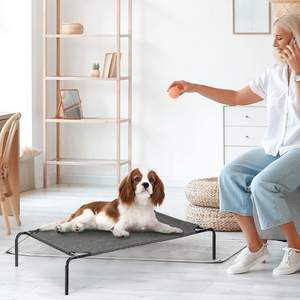 Cama elevada para perros de alta calidad, respetuosa con el medio ambiente, con almohadilla de hielo refrigerante, impermeable, transpirable, de malla, para viajes al aire libre, para mascotas, para acampar, cama para perros - Product Image 5