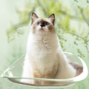 Hamac <span class=keywords><strong>suspendu</strong></span> pour chat Ventouse d'été en verre suspendue fenêtre pour chat <span class=keywords><strong>soleil</strong></span> escalade nid <span class=keywords><strong>de</strong></span> chat - Product Image 3