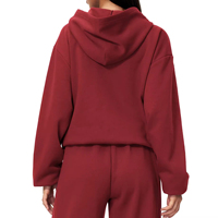 Sweat-shirt à capuche doublé polaire pour le printemps et l'automne, idéal pour le yoga, le streetwear et les tendances esthétiques, parfait pour le sport