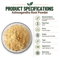 Poudre d'extrait de racine d'Ashwagandha en gros 10:1, qualité alimentaire, extrait végétal cultivé en pleine nature, emballage en fût, Ashwagandha de la meilleure qualité