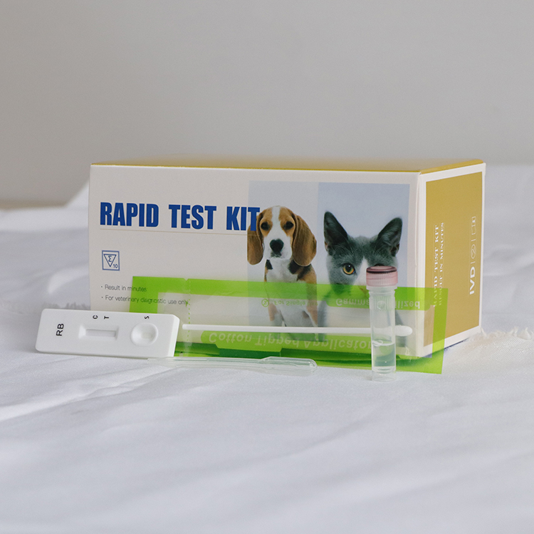 Prueba de antígeno de rabia Kit de prueba rápida de antígeno de rabia para diagnóstico veterinario