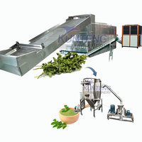 Machine de déshydratation automatique des feuilles de Moringa, machine de séchage continu des feuilles de Moringa, ligne de production de séchage et de broyage du Moringa
