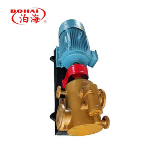 Bomba de tornillo de hierro fundido con bypass interno de tres vías y válvula de seguridad incorporada para tuberías de bioaceite - Product Image 2
