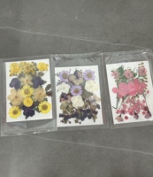 Anting Liontin Bunga Asli Resin, Berbagai Desain Anggrek, Aksesoris Perhiasan, Hadiah Ulang Tahun Wanita