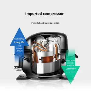 Jingfei Vakuum-Gefriertrockner Kältetrockner für Lebensmittel Kräuter Medizin Obst Gemüse - Vertikaler Kleiner Vor-Gefriertrockner Modell 10N-50A 1 - Product Image 5