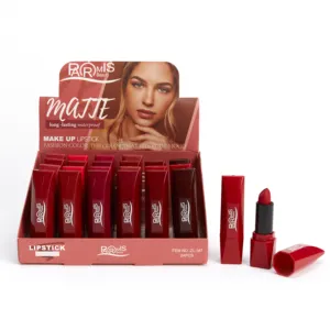 Solid Lipsticks Matte 24 Horas Maquiagem de Longa Duração 12 Cores Sólida Creme Lip stick Private Label Lip Gloss Set