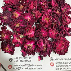 100% rosas rojas secas orgánicas naturales Capullos de flores herbales de alta calidad flores secas comestibles-flores secas - Product Image 5