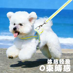 Fresh and breathable summer <b>dog</b> <b>leash</b> for small and medium-sized <b>dogs</b> such as Teddy, Bichon Frise, and Corgi; adjustable saddle - Product Image 1