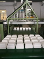 Ligne de production de barquettes alimentaires en mousse de polystyrène PS, machine de fabrication de contenants en plastique pour la viande