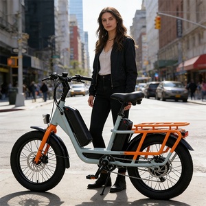 Vélo électrique <span class=keywords><strong>cargo</strong></span> à pneus larges de 20 pouces 48v - Product Image 1