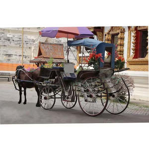 Buggy de tourisme anglais à chevaux, professionnel, moderne, de luxe, pour mariage, couleur personnalisée, léger - Product Image 1