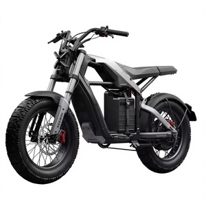 การประมูล/ขาย จักรยานไฟฟ้า S-eg-wayyyy Xyber 24 สปีด น้ำหนักเบา ระบบกันสะเทือนเต็มรูปแบบ - Product Image 1