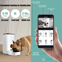 Mangeoire automatique pour animaux de compagnie, 4l, vente en gros, accessoire vidéo pour chiens et chats, mangeoire intelligente, vente en gros,