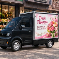 Nouveau mini-camion électrique utilitaire EV avec une capacité de charge de 500 kg et une autonomie de moins de 100 km pour les boutiques de bubble tea/pizza/café