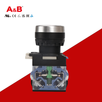 Tombol Reset Otomatis dengan Lampu, Satu Tombol Nyala dan Satu Tombol Mati, Diameter 22mm, Tombol Kontrol Start, AC220V