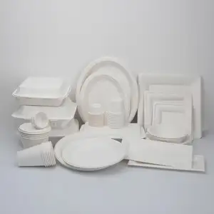 Fiambrera Biodegradable desechable de azúcar, caja de almuerzo para Pizza, moldeado de pulpa, vajilla, contenedor de alimentos, máquina de fabricación de platos de papel