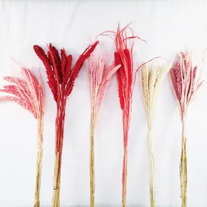 Sumflora 2024 meilleurs cadeaux pour enseignants fleur éternelle durable pour l'arrangement fleurs décoration fleurs séchées millet