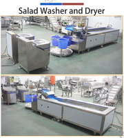 Fengxiang Leavy Groente Vortex Was- en Droogmachine 2000kg/u Basilicumbladeren Munt Sla Zachte Vortex Wasmachine