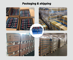 Yinlong LTO 2,3 v 30Ah 33ah 30000mAh LTO Yinlong призматическая аккумуляторная батарея литиевая титанатная батарея - Product Image 6